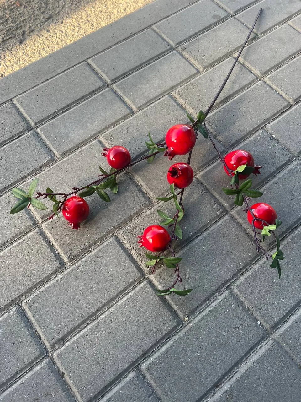 Ветка граната — фото 1