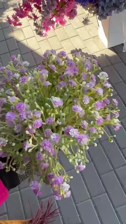 Куст гипсофилы — фото 1