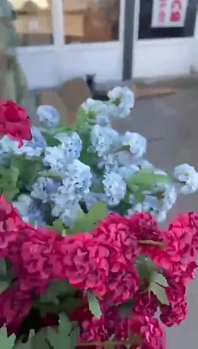Ветка бордового георгина — фото 1