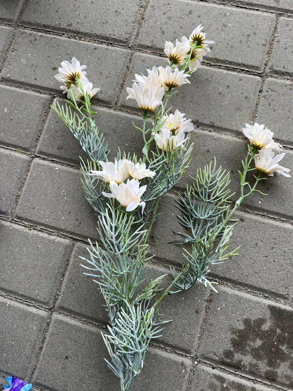 Ветка космеи — фото 1