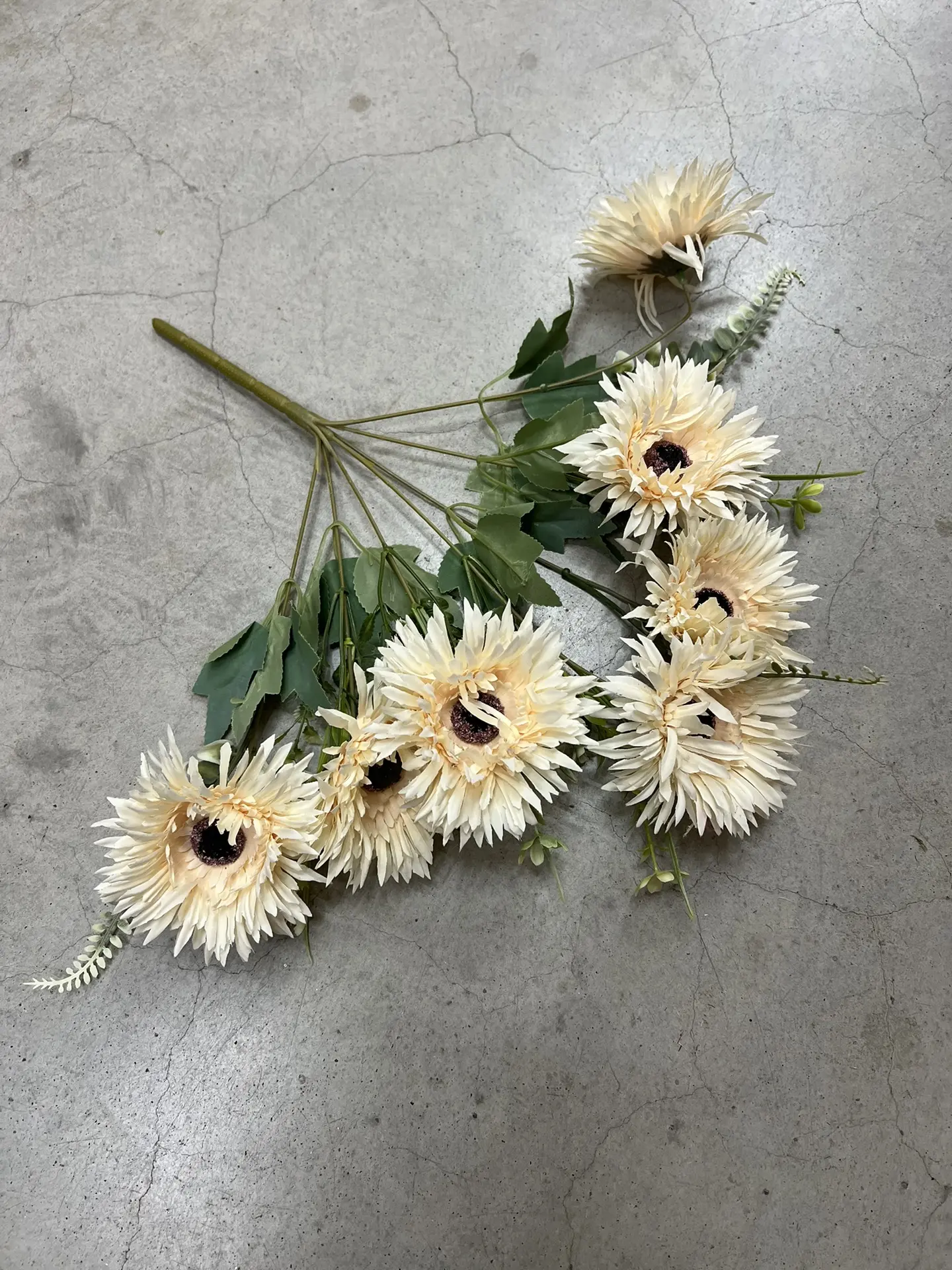 Куст герберы — фото 2